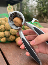 Load image into Gallery viewer, Trickett’s Grove Cone Walnut Cracker